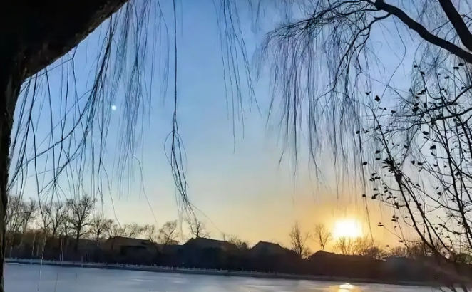 今年冬天怎么了？
大家有没有发现今年的冬天有些反常！
马上就要元旦了却不怎么冷！
