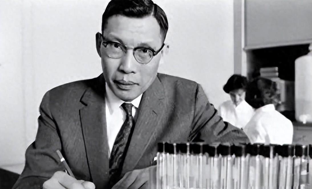 1950年，中国遗传学之父李景均，受到不公正对待后，毅然前往香港，可因为没有身份