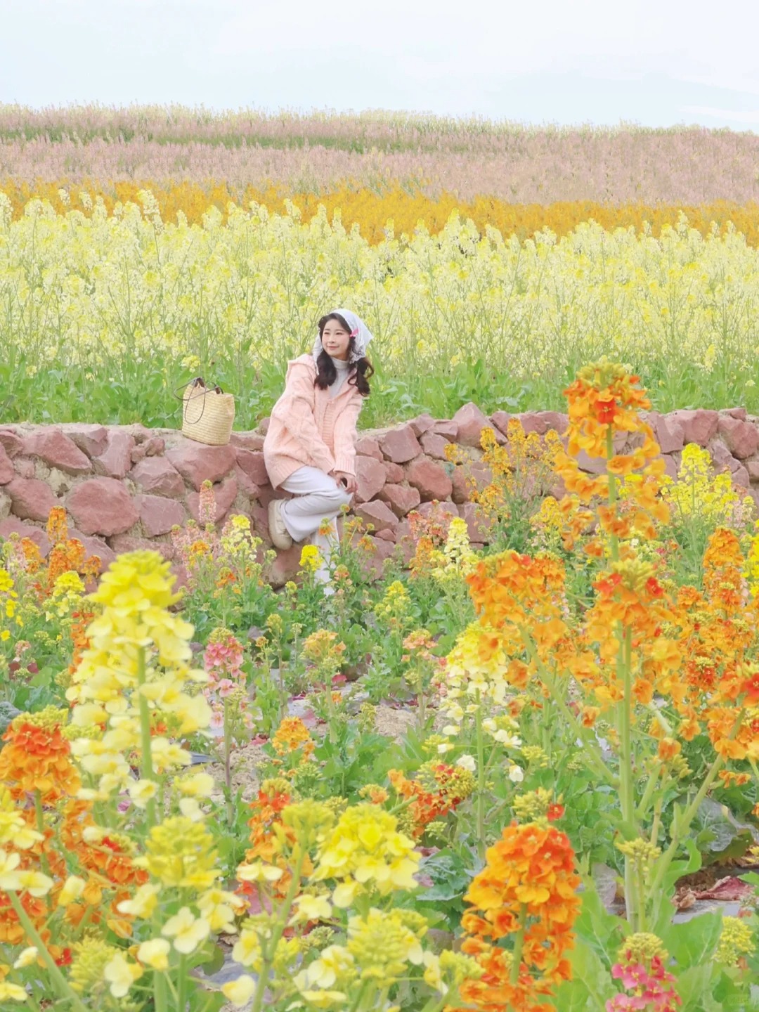 在成都｜漫山遍野的五彩花海美爆了🌼🌼
成都的春天总是能给人带来惊喜‼️
长这