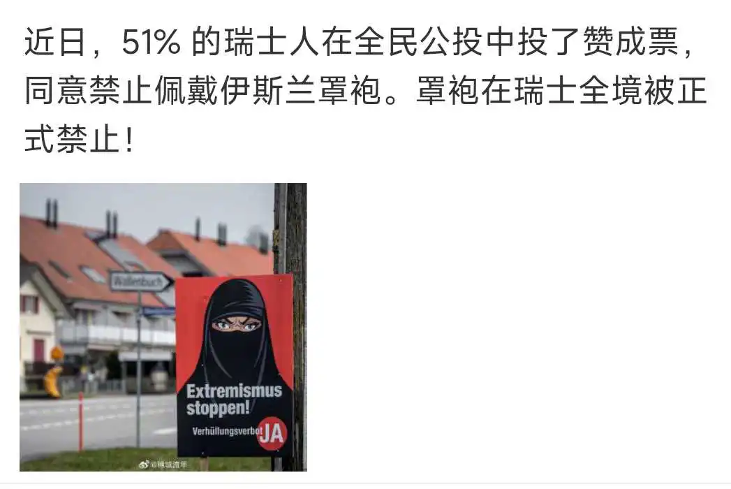 罩袍在瑞士全境被正式禁止！

