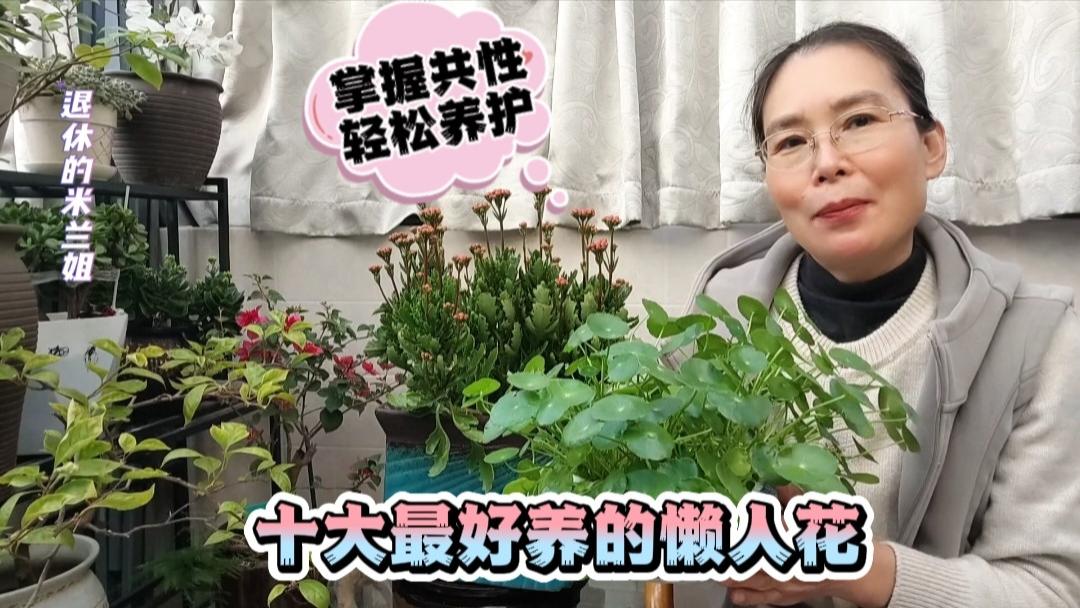 十大最好养的懒人花：掌握共性，轻松养护#花卉绿植