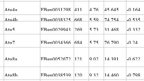 Word中的表格文字显示不完整怎么办？