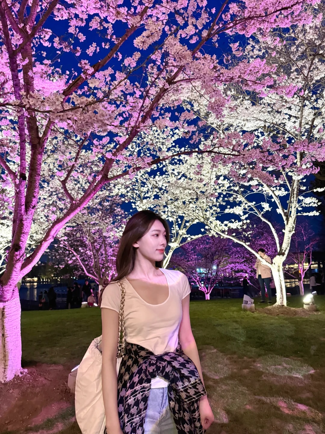 玄武湖的樱花雨🌸
晚上的玄武湖好好看
城墙下的樱花树自带打光 绝美
