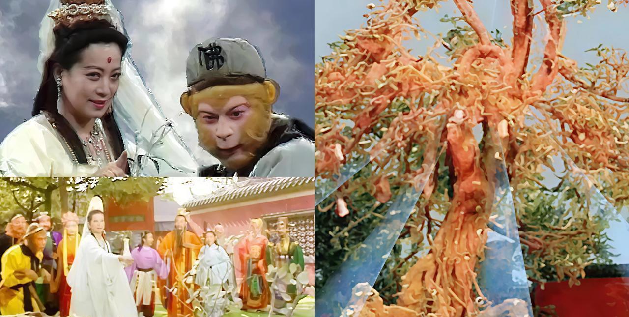 镇元子的人参果树只有观音才能救活吗？
你猜镇元子为什么只给孙悟空三天时间去搬救兵