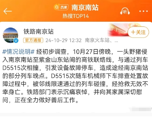 和西部地区野猪主要是伤农毁地不同，南京等长江中下游地区已经多次出现野猪进城后带来