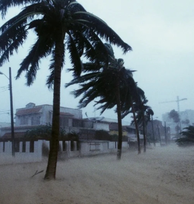 台风这一赖着不走，咱们福建可真是遭了殃。这风雨啊，就跟不要钱似的，哗哗地下了一天