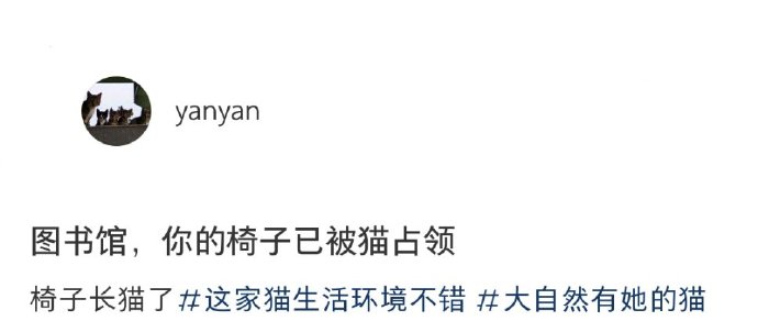 你还别说，这些猫猫还是挺懂得怎么享受的