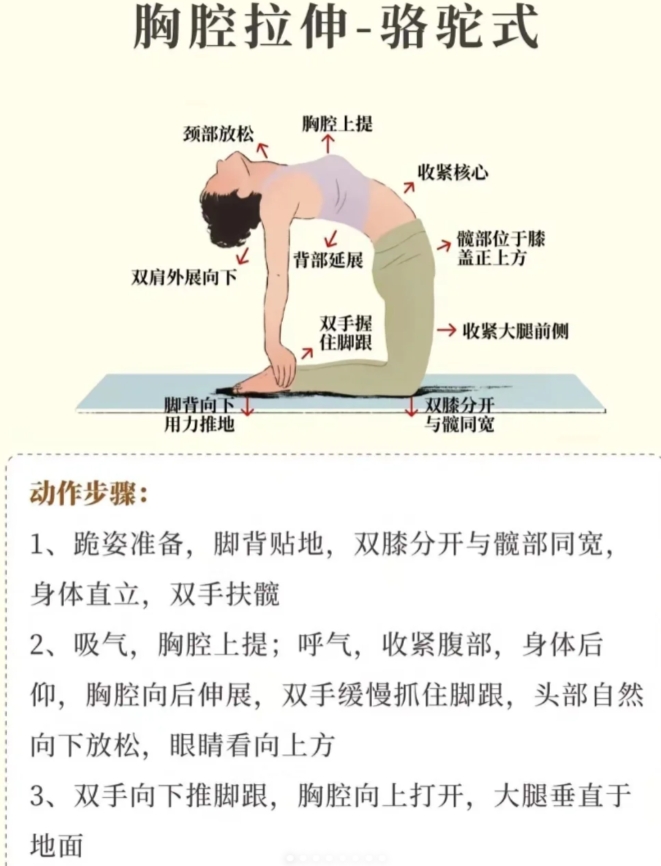 运动前后拉伸动作分享