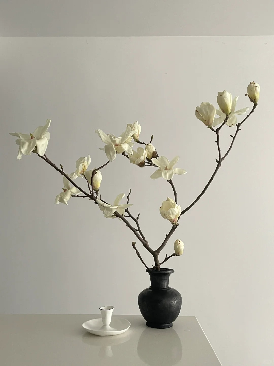 各有各的美
·
1｜玉兰
2｜洋水仙
3｜海棠
4｜四月的花（虞美人、飞燕、风铃