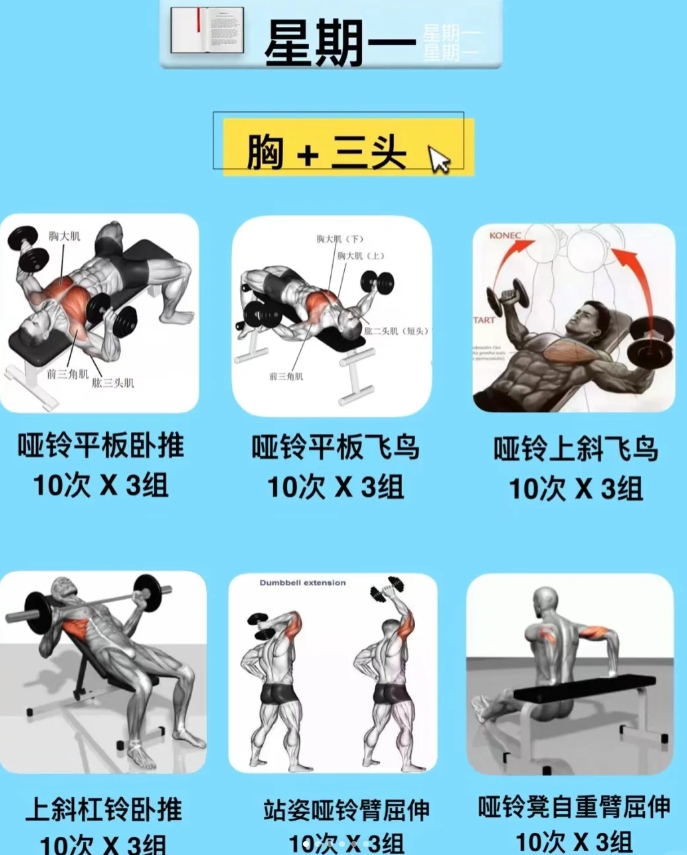 一周健身计划，对于刚进入健身房的新人，如何开始训练是最关键的，看着健身房慢慢的器