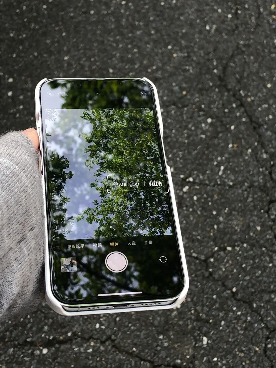 可以和你交换一张近期的风景照吗