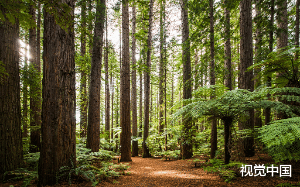 弟弟带着满身伤痕控诉着妈妈和继父虐待他， 为了报复他们，爸爸让我冒充弟弟回到妈妈身边