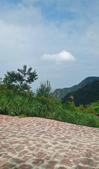 我朋友的老公跟他上司好上了，把老婆恶心坏了。没想到现在的男人也走捷径，为了那碎银