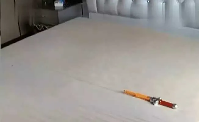 浙江杭州，姜妍将价值300万的住宅，以每月9000元的价格出租给罗梅，18个月后