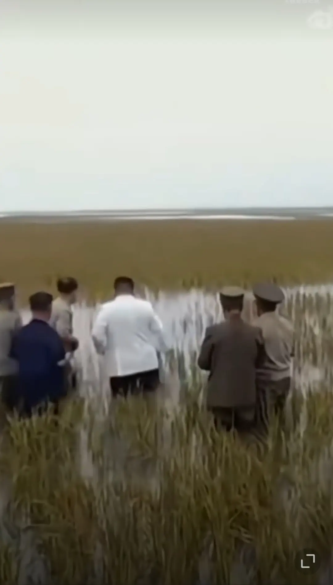 这才是新时代领导的典范啊，齐腰深的水视察农田说下就下
从背影看你知道是谁吗？
