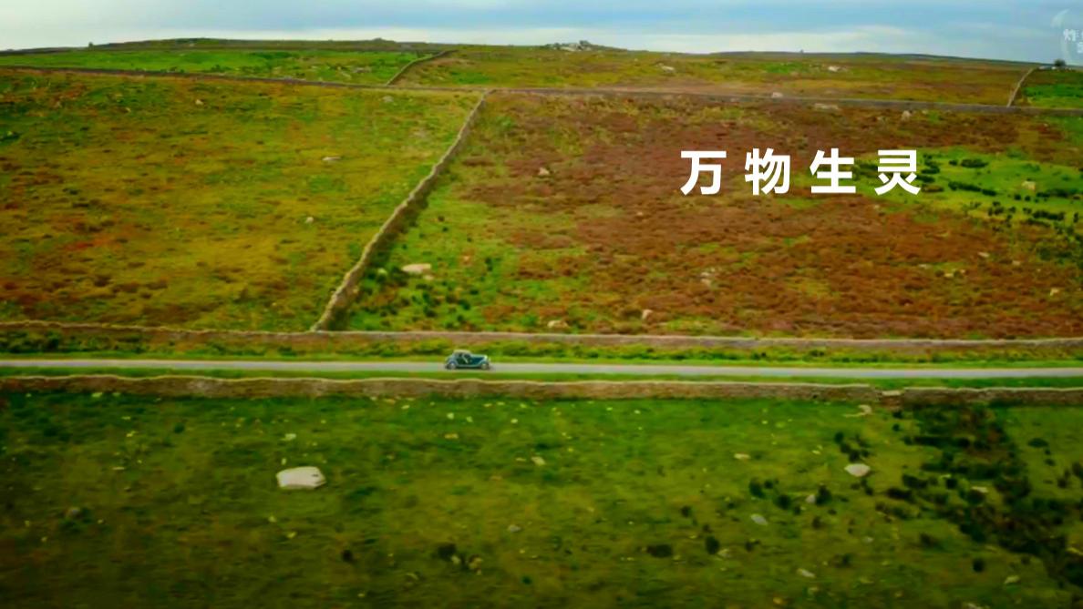 万物生灵第五季 - 相处不设限，始终保持包容、变通的心态