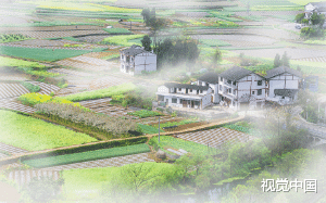 跟带着两个孩子的女人结婚二十年后，我中风了