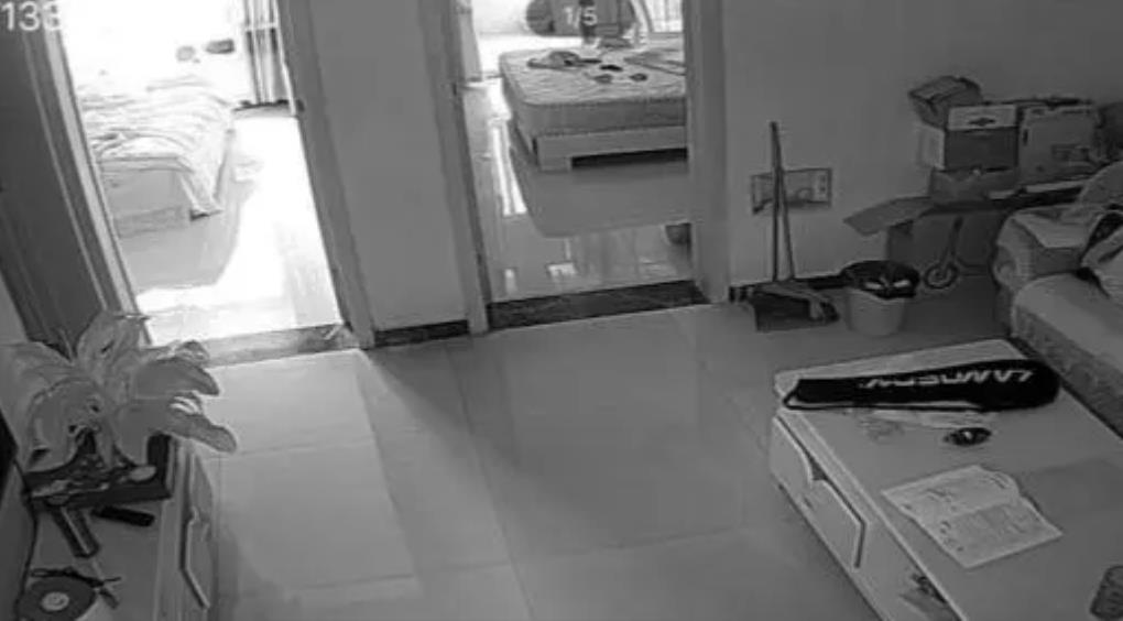 女子趁男邻居不在家，竟跑到其家里盗窃。不料男邻居突然回家，女子被抓现行。女子央求