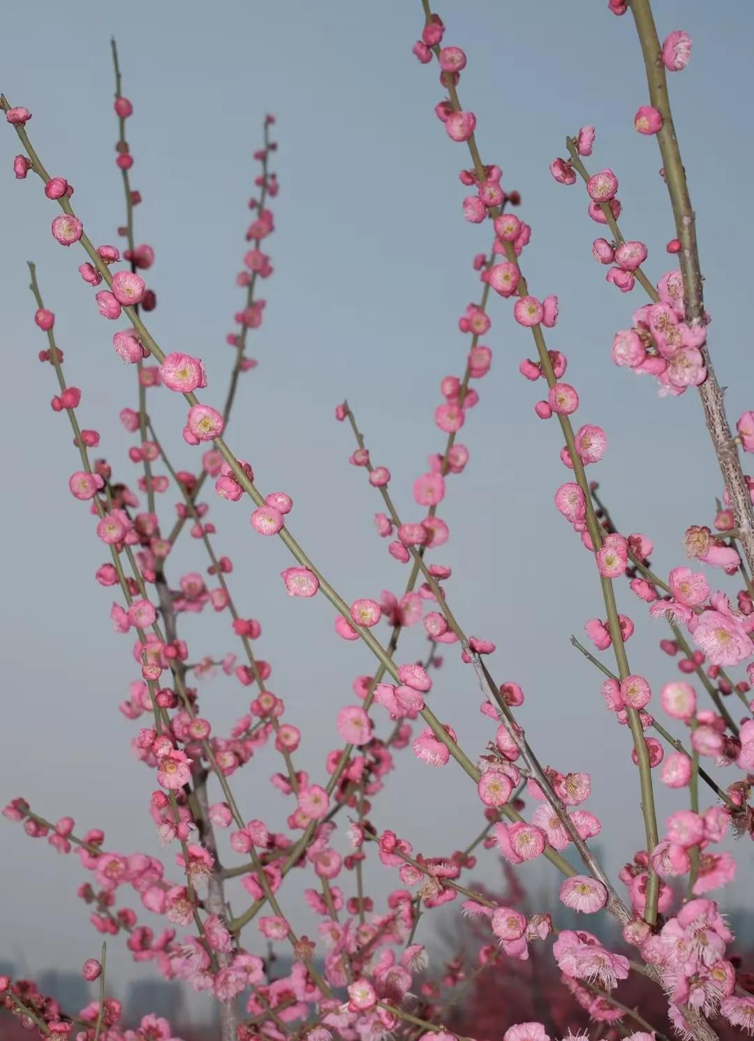 天呐！家有抑郁“神兽”躺平，简直是噩梦！曾经我也崩溃抓狂，想把她拽起来暴揍一顿。