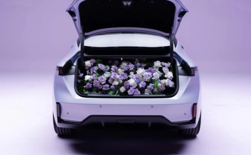 领克07 EM-P，浮光紫惊艳登场，实力不容小觑