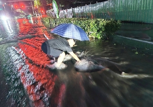 昨天河南社旗国家站因雷击导致通信中断，昨晚通信正常后完整降雨数据终于恢复：本站2