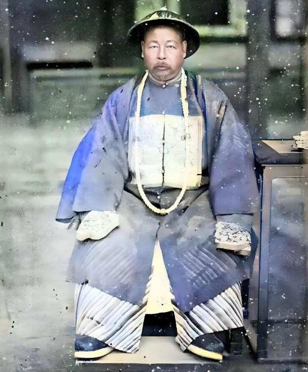 1996年，左宗棠的曾孙左景鉴想要回到上海生活。他曾担任上海红十字会总医院和中山