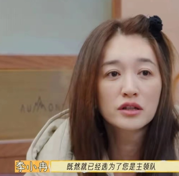 

有人认为之前对李小冉印象很好，演戏几十年，长得漂亮，演技不差，路人缘很好。谁