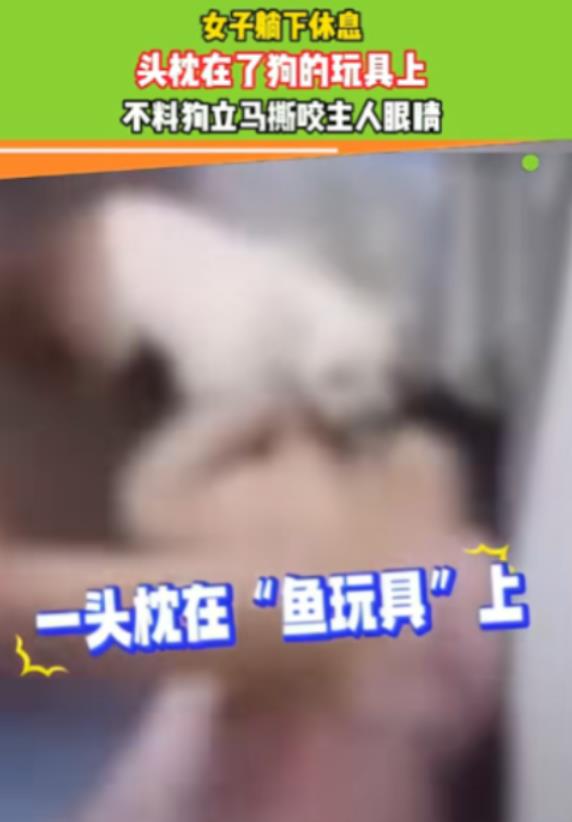 “畜生永远是畜生”！2024年媒体报道，黑龙江一女子躺下休息，头枕在了狗的玩具上