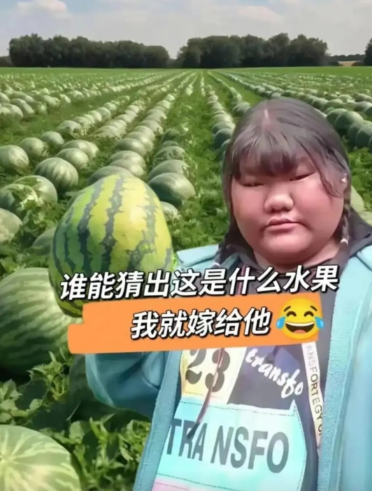 是西瓜，不不应该是你是我的小傻瓜，哈哈哈[哈哈笑][哈哈笑][哈哈笑][哈哈笑]