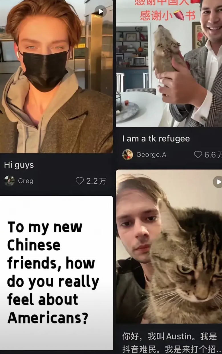 笑不活了！中美人民小红书对帐，突然明白了5个真相：

1、美国人民不是不喜欢存钱