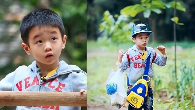 杨威儿子香港上学，全家挤40平出租房，中国式父母究竟有多卷？