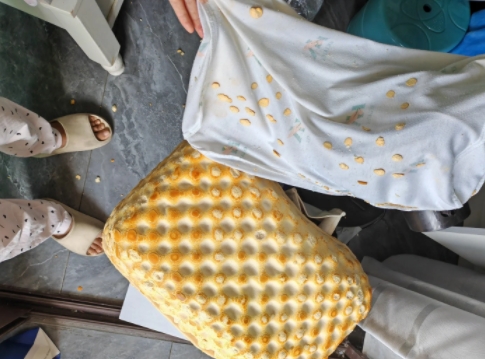 乳胶枕就是智商税！

几年前去马来西亚被忽悠了一万块钱，买床垫乳胶枕乳胶被！说什