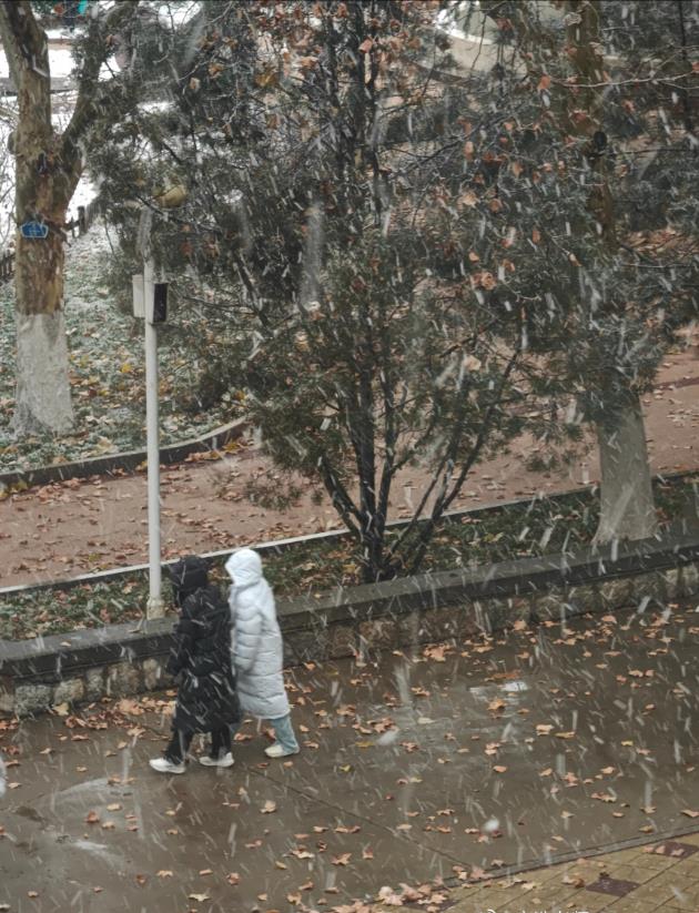 冬天的第一场雪！那年陪你看雪的女生，现在在哪里？