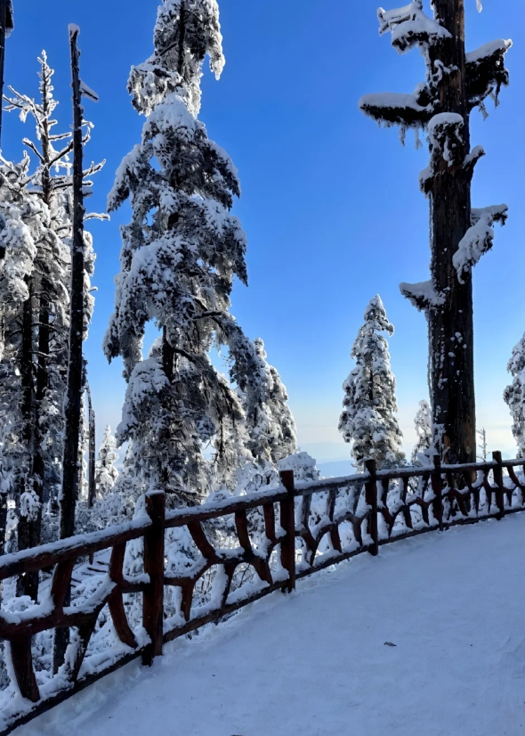 瓦屋山冬日游