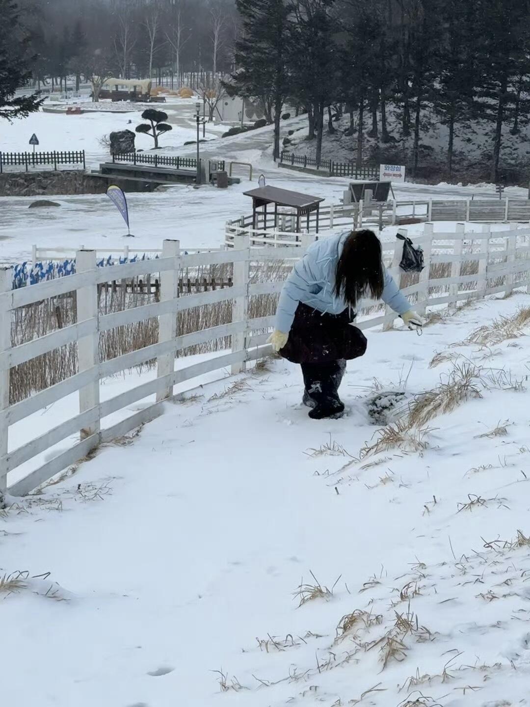 江原道🇰🇷天空牧场一日游