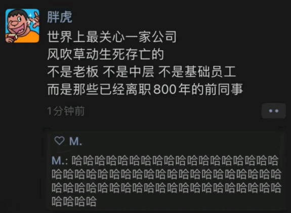 我离职的时候和同事说过：公司破产倒闭日，微信无忘告乃翁！离职三个月，偷偷躲在公司