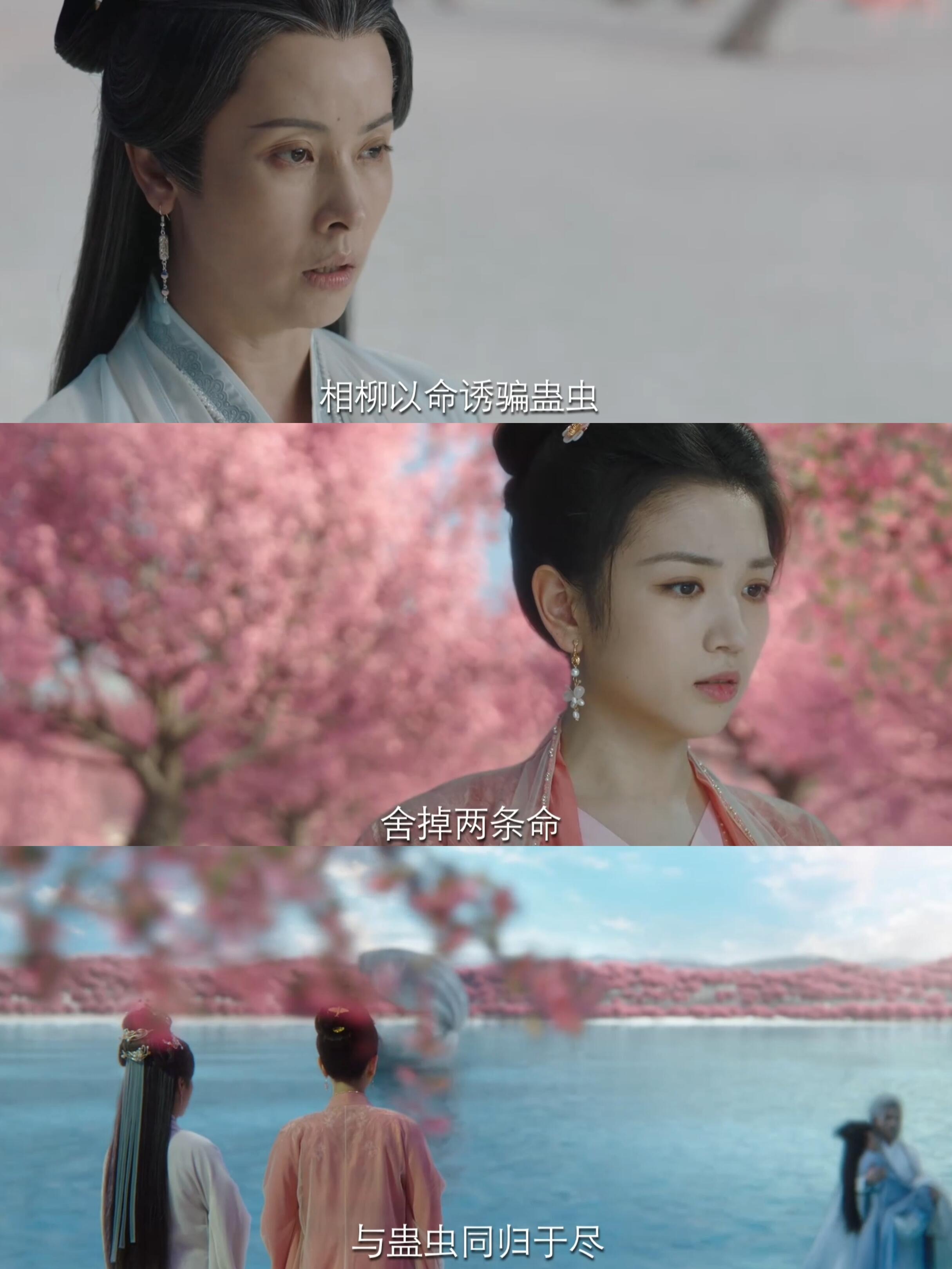 两个最爱小夭的人互相感谢，她一无所知！