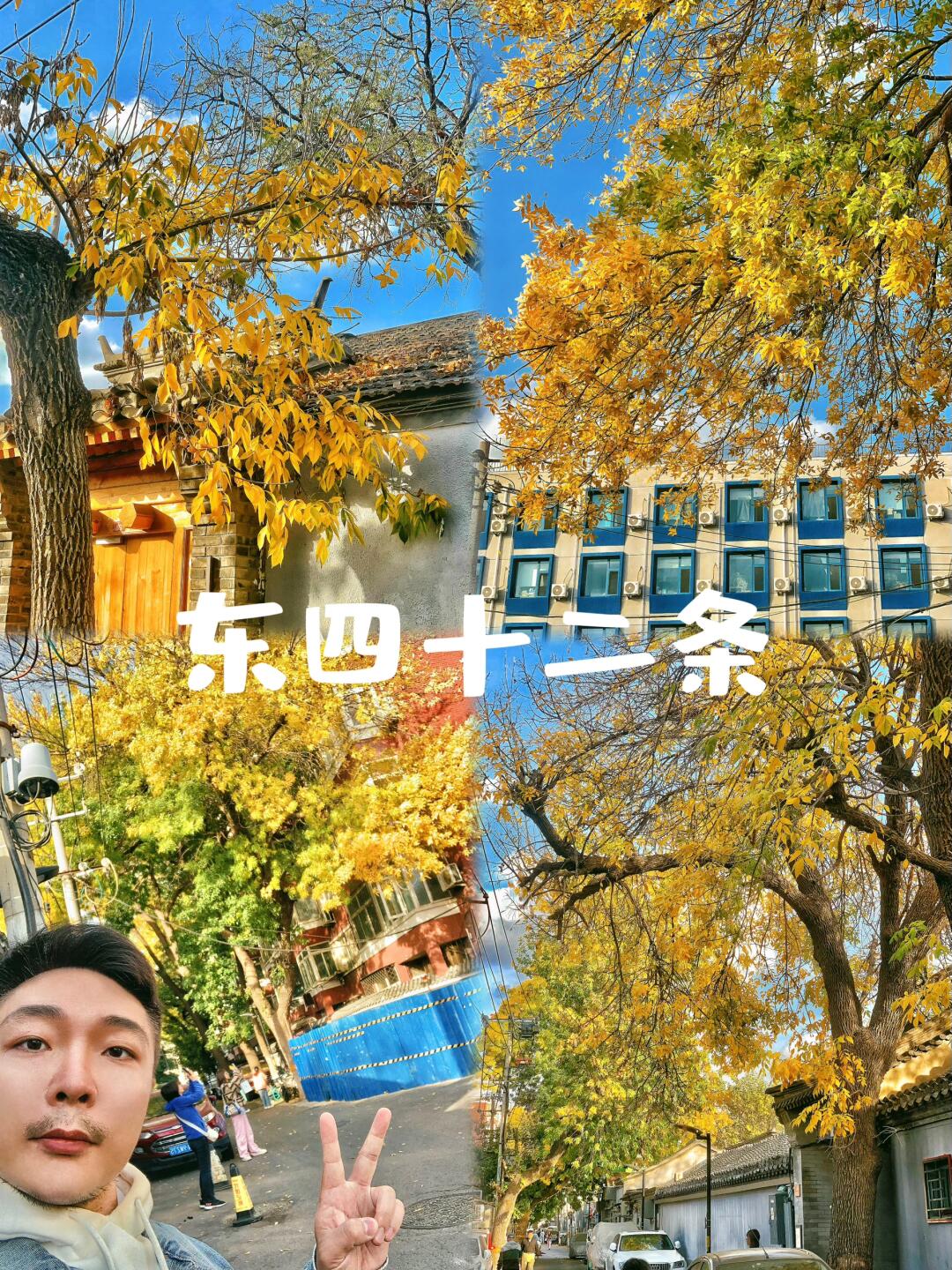 老舍笔下的人间天堂，胡同里的北平秋色