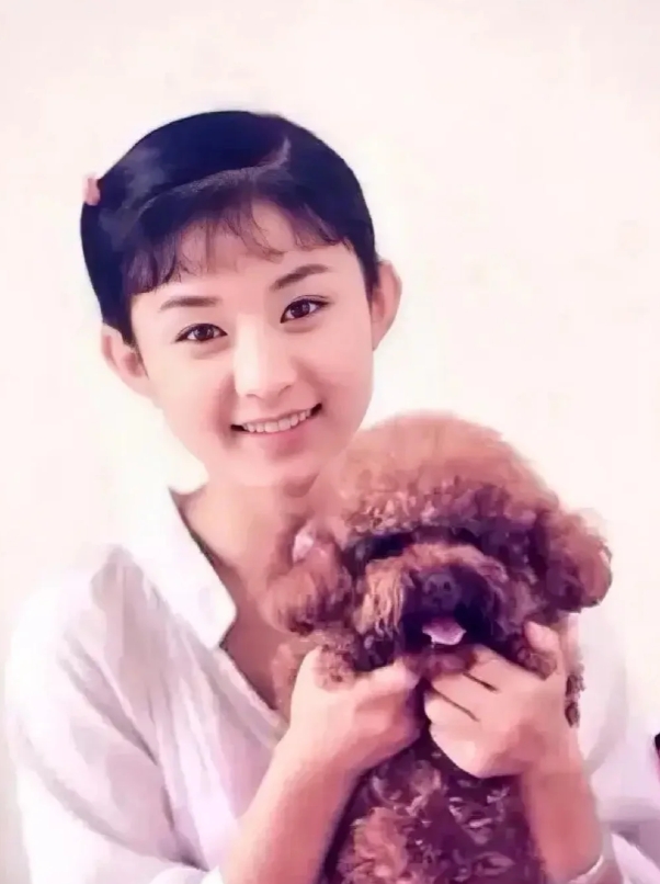 赵丽颖的演艺生涯