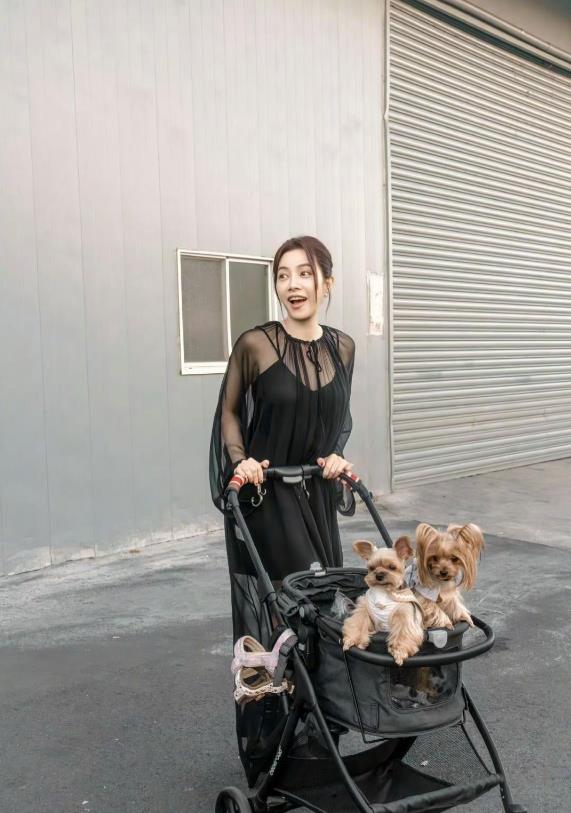 46岁的徐怀钰，推着小车遛狗去啦！没孩子也乐呵，有狗狗陪就够啦