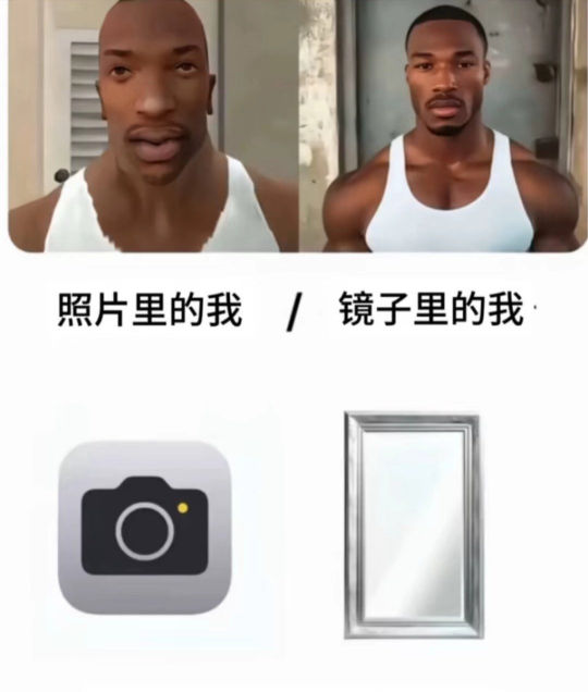 照片里的我和镜子里的我