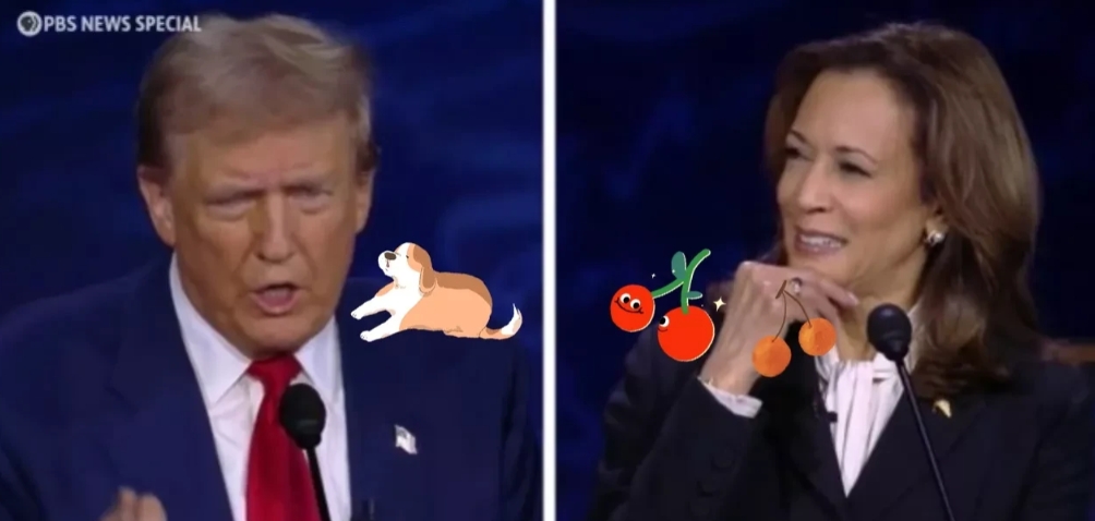 特朗普与哈里斯辩论结果：特朗普败了，败了的原因体现在以下方面：
1.关税会让🇨