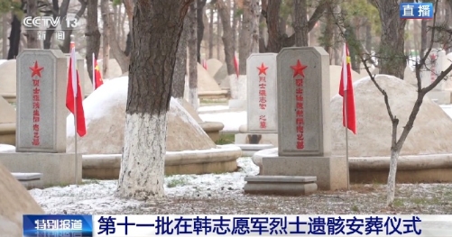 志愿军烈士墓都插上了五星红旗，以前你们守护祖国，现在祖国强大了守护你们！#43位