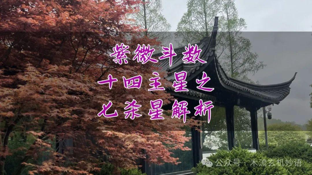 紫微斗数十四主星之七杀星解析