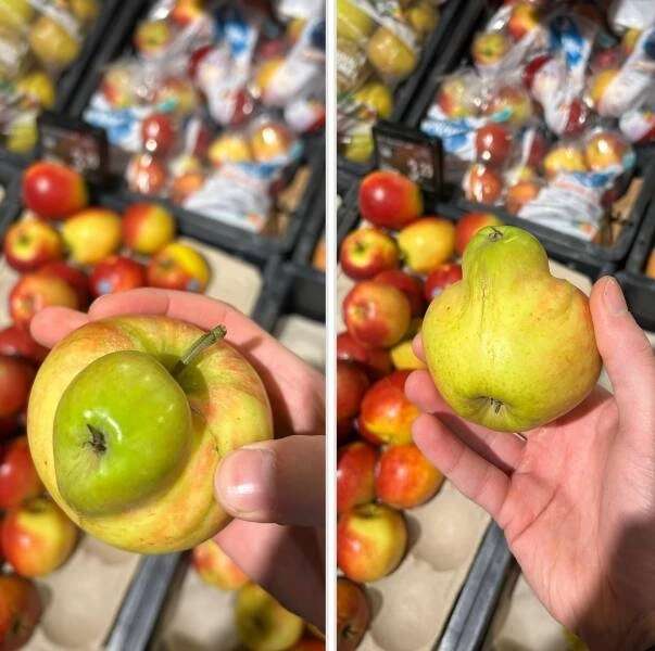 似乎是一个吞食了另一个