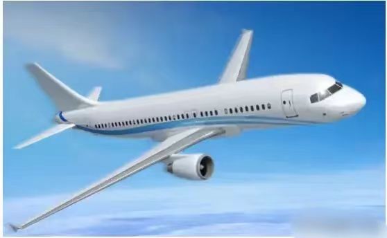 北京，女子乘坐飞机从外地飞往首都，过程中还把自家的宠物狗一起带上飞机，万没想到，