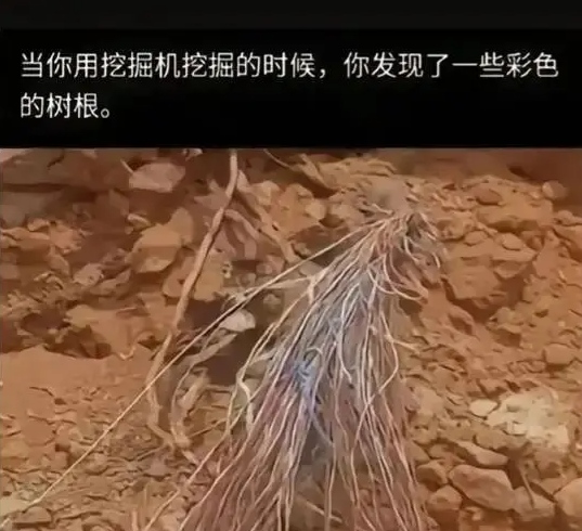 老板:现在这个工程就是你的了