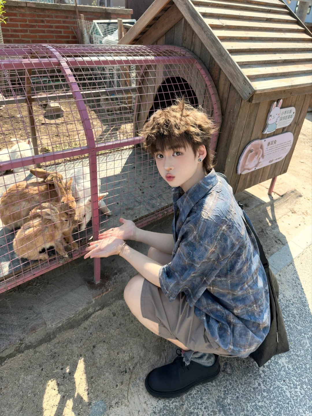 小狗和小兔晒太阳
