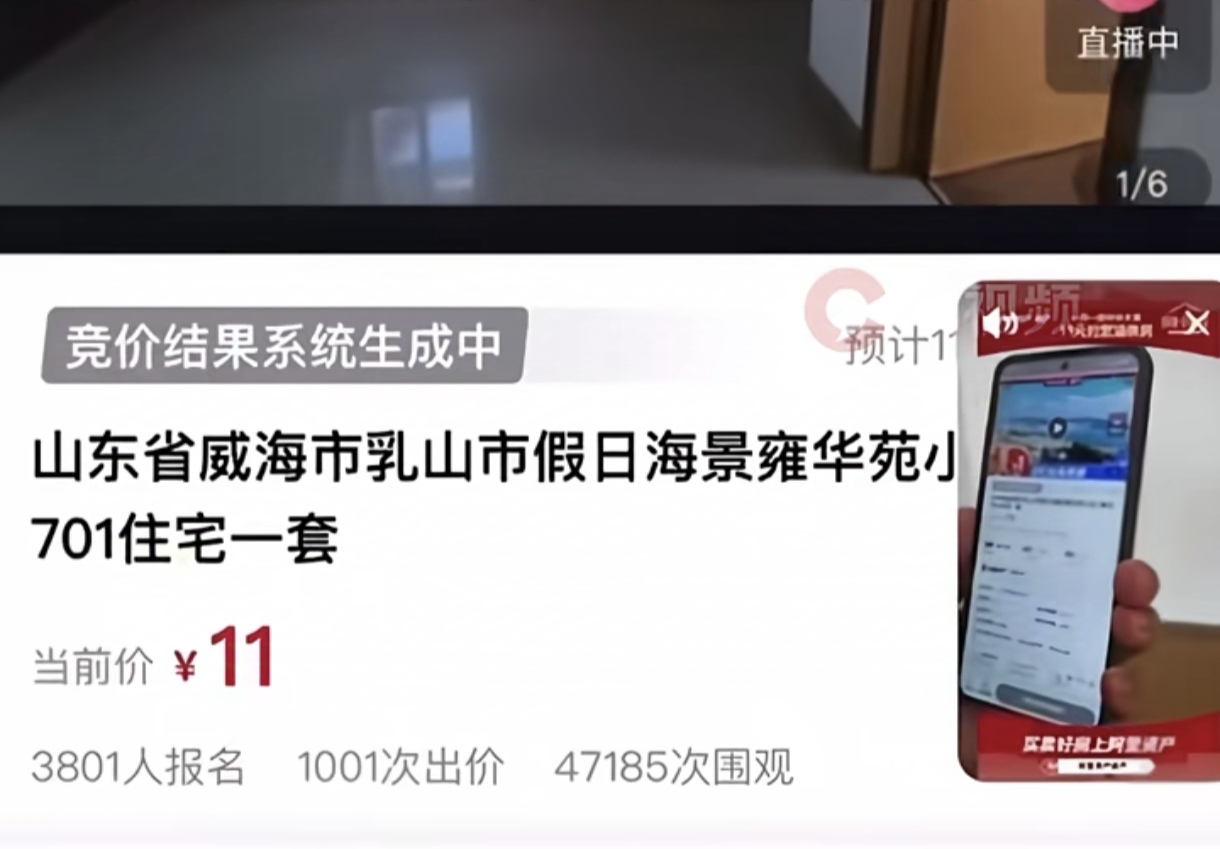 11块钱买套房，你信不？
11月7号，一位小姐姐以11块钱的价格在某平台上拍到了
