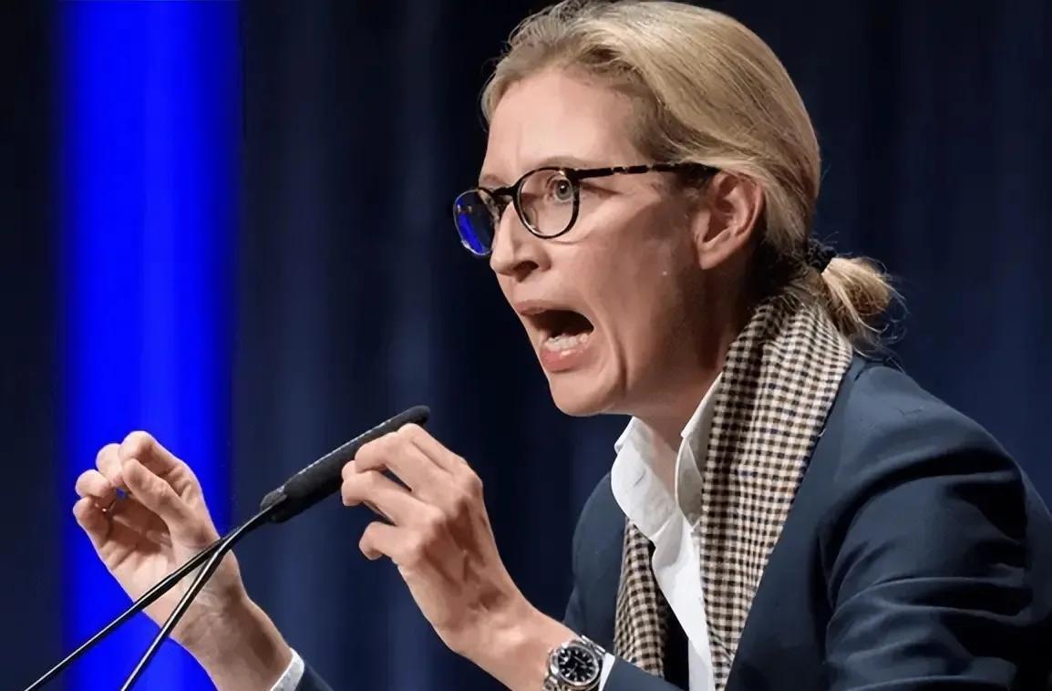 默克尔曾经是德国各民主党派的代表，她的政治主张其实就是德国的欧洲化，用德国的经济